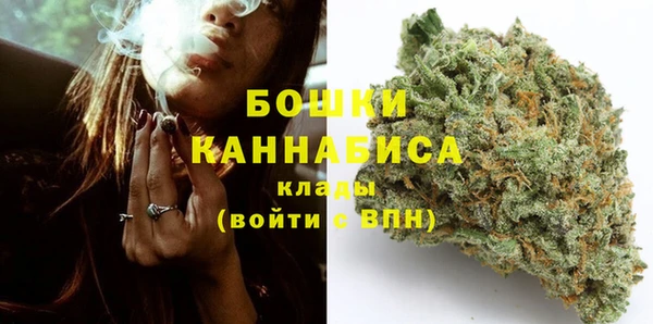 сатива Вязники