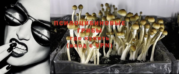 сатива Вязники