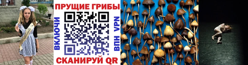 Галлюциногенные грибы Cubensis  Купить закладки  Лакинск 